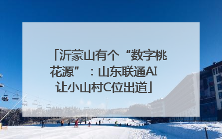沂蒙山有个“数字桃花源”：山东联通AI让小山村C位出道