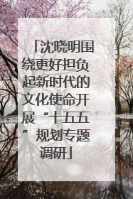 沈晓明围绕更好担负起新时代的文化使命开展“十五五”规划专题调研