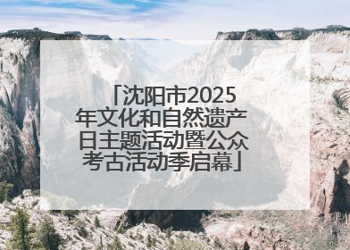 沈阳市2025年文化和自然遗产日主题活动暨公众考古活动季启幕