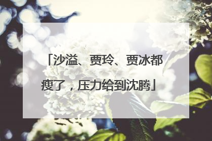 沙溢、贾玲、贾冰都瘦了,压力给到沈腾