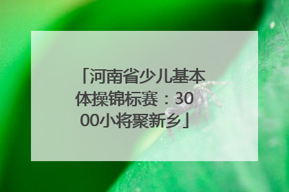 河南省少儿基本体操锦标赛：3000小将聚新乡