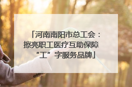 河南南阳市总工会：擦亮职工医疗互助保障“工”字服务品牌