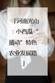 河南光山：小西瓜“撬动”特色农业发展路