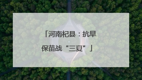 河南杞县：抗旱保苗战“三夏”