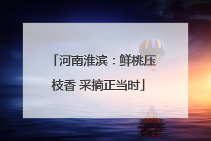 河南淮滨：鲜桃压枝香 采摘正当时