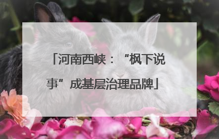 河南西峡：“枫下说事”成基层治理品牌