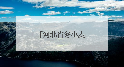 河北省冬小麦大规模机收工作全面启动
