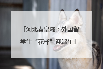 河北秦皇岛：外国留学生“花样”迎端午