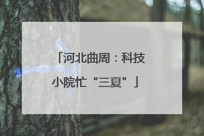河北曲周：科技小院忙“三夏”