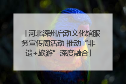 河北深州启动文化馆服务宣传周活动 推动“非遗+旅游”深度融合