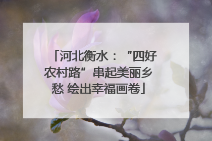 河北衡水：“四好农村路”串起美丽乡愁 绘出幸福画卷