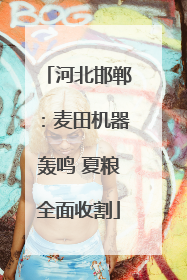 河北邯郸：麦田机器轰鸣 夏粮全面收割