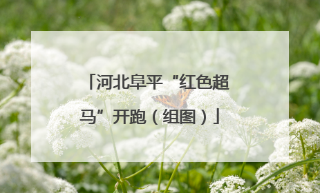 河北阜平“红色超马”开跑（组图）