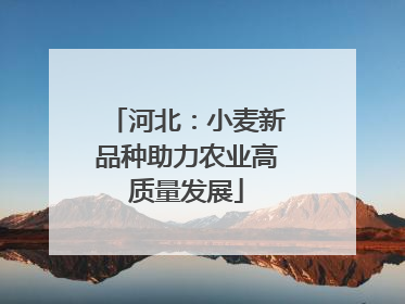 河北：小麦新品种助力农业高质量发展