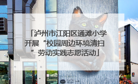 泸州市江阳区通滩小学开展“校园周边环境清扫”劳动实践志愿活动