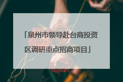 泉州市领导赴台商投资区调研重点招商项目