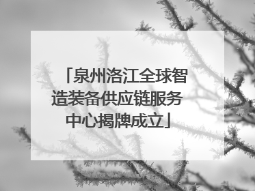 泉州洛江全球智造装备供应链服务中心揭牌成立