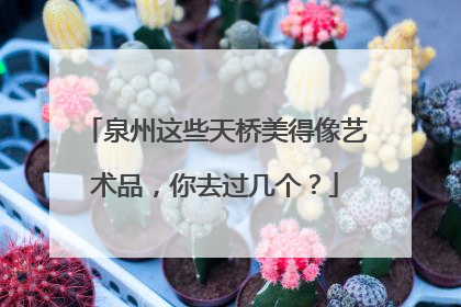 泉州这些天桥美得像艺术品，你去过几个？