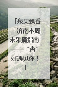 泉果飘香｜济南本周末采摘指南——“杏”好遇见你！