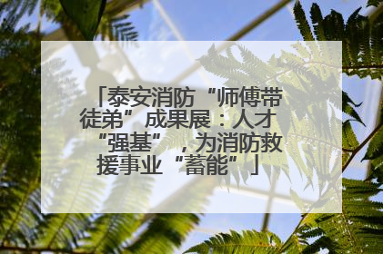 泰安消防“师傅带徒弟”成果展：人才“强基”，为消防救援事业“蓄能”