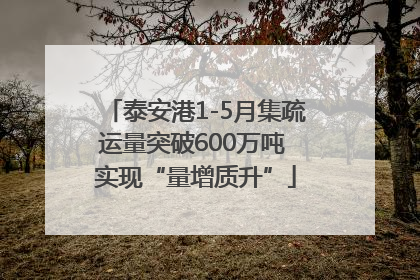 泰安港1-5月集疏运量突破600万吨 实现“量增质升”