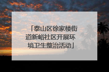 泰山区徐家楼街道新峪社区开展环境卫生整治活动