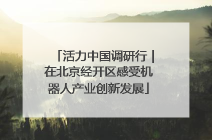活力中国调研行｜在北京经开区感受机器人产业创新发展