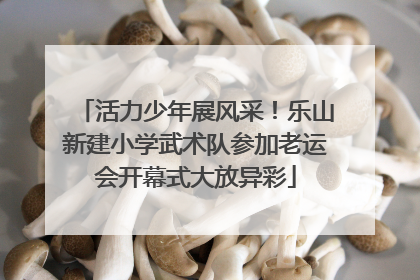 活力少年展风采！乐山新建小学武术队参加老运会开幕式大放异彩
