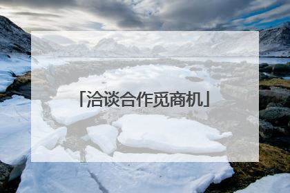 洽谈合作觅商机