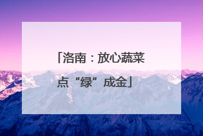 洛南：放心蔬菜点“绿”成金