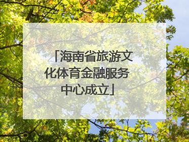 海南省旅游文化体育金融服务中心成立