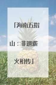 海南五指山：非遗薪火相传