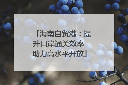 海南自贸港：提升口岸通关效率 助力高水平开放