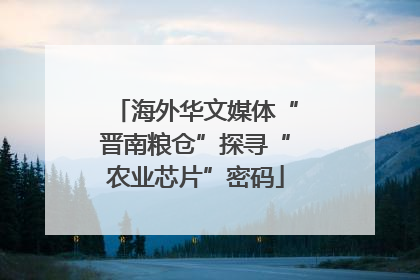 海外华文媒体“晋南粮仓”探寻“农业芯片”密码