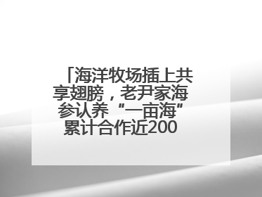海洋牧场插上共享翅膀，老尹家海参认养“一亩海”累计合作近200企业客户