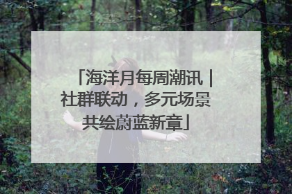 海洋月每周潮讯｜社群联动，多元场景共绘蔚蓝新章