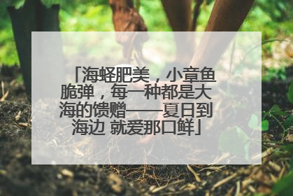 海蛏肥美，小章鱼脆弹，每一种都是大海的馈赠——夏日到海边 就爱那口鲜