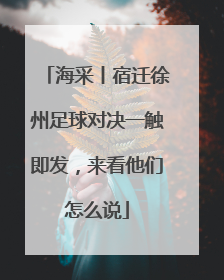 海采丨宿迁徐州足球对决一触即发，来看他们怎么说