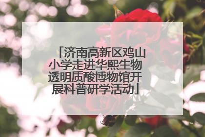 济南高新区鸡山小学走进华熙生物透明质酸博物馆开展科普研学活动
