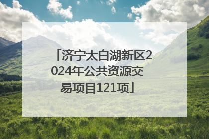 济宁太白湖新区2024年公共资源交易项目121项