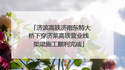 济滨高铁济南东特大桥下穿济莱高铁营业线架梁施工顺利完成
