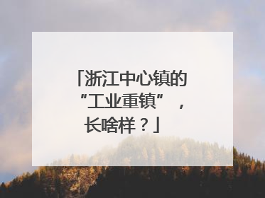 浙江中心镇的“工业重镇”，长啥样？