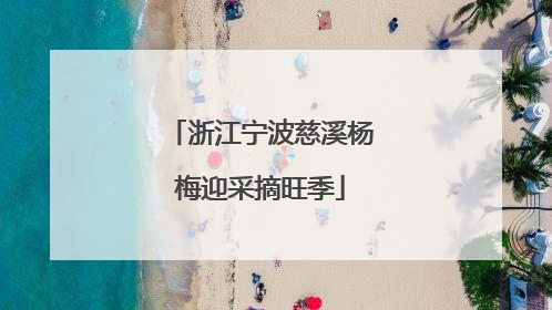 浙江宁波慈溪杨梅迎采摘旺季
