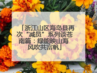 浙江山区海岛县再次“减员”系列谈苍南篇：绿能映山海 风吹共富帆