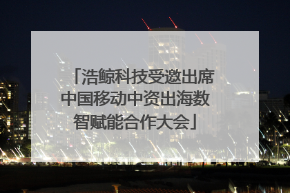 浩鲸科技受邀出席中国移动中资出海数智赋能合作大会