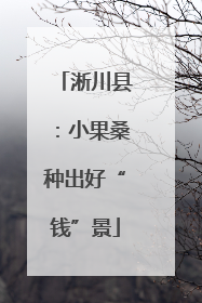 淅川县：小果桑种出好“钱”景