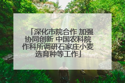 深化市院合作 加强协同创新 中国农科院作科所调研石家庄小麦选育种等工作