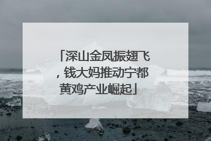 深山金凤振翅飞，钱大妈推动宁都黄鸡产业崛起