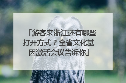 游客来浙江还有哪些打开方式？全省文化基因激活会议告诉你