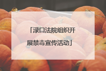 渌口法院组织开展禁毒宣传活动